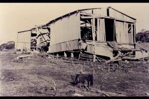 Curtis Woolshed - This is the woolshed that was on the hill to the right of the hut, nothing remains of it today.