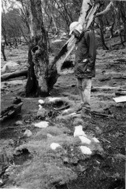miners grave collins creek 1992