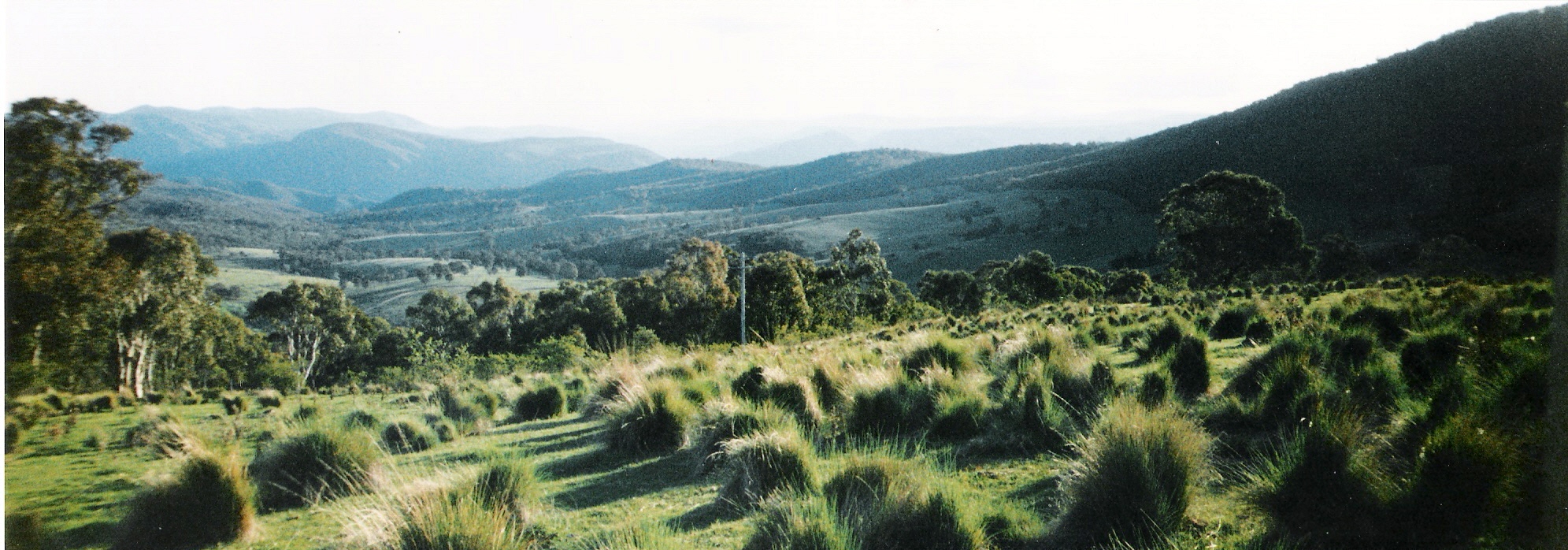 Paupong panorama