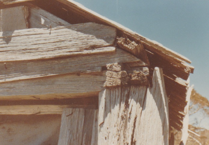 constance hut roof detail olaf moon 1974
