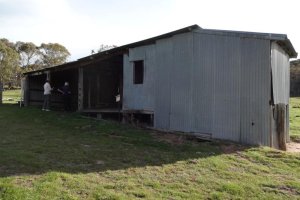 &#169; N Irvine, 2014