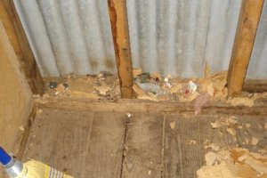 Rat's Nest - Courtesy I Frakes, 2011