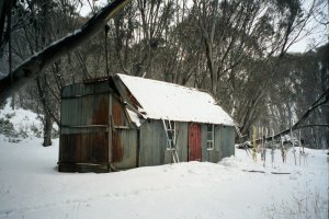 &#169; Alan Levy, 2003