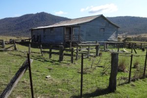 &#169; Narelle Irvine, Feb 2015