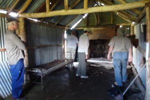 &#169; Narelle Irvine, October 2014