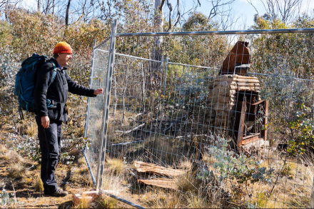 KHA in the news: The ACT government promised to rebuild, but these huts in Namadgi National Park remain in ruins